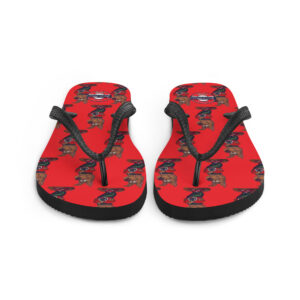 Flip-Flops