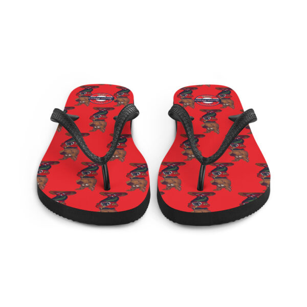 Flip-Flops