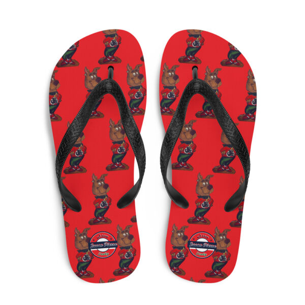 Flip-Flops