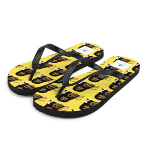Flip-Flops