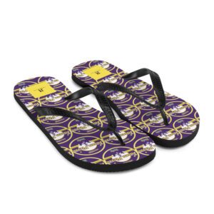 Flip-Flops