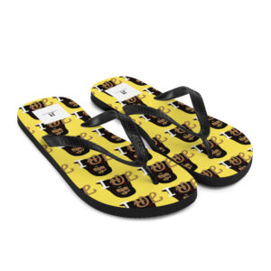 Flip-Flops