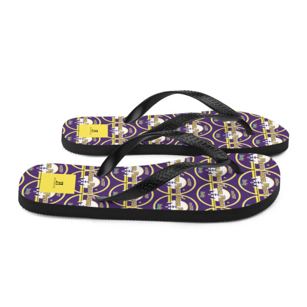 Flip-Flops