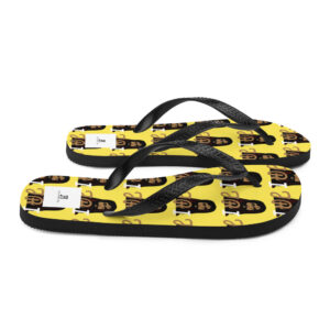 Flip-Flops